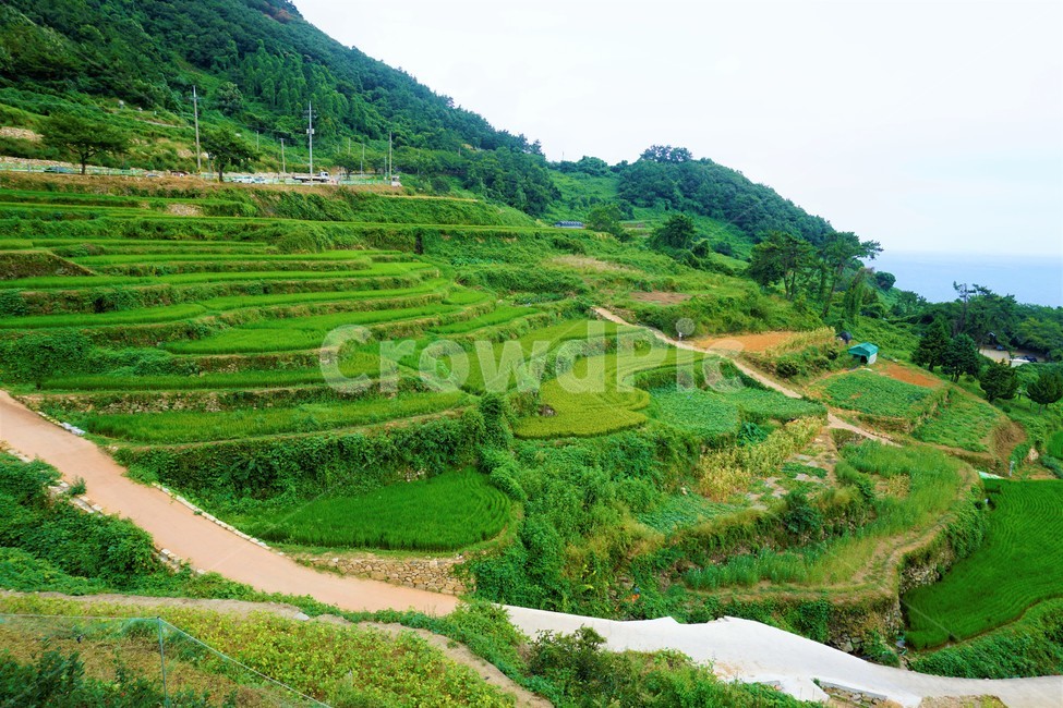 다랭이마을,다랭이,밭,농사,통영,시골,마을,풍경,landscape,country,rural,town