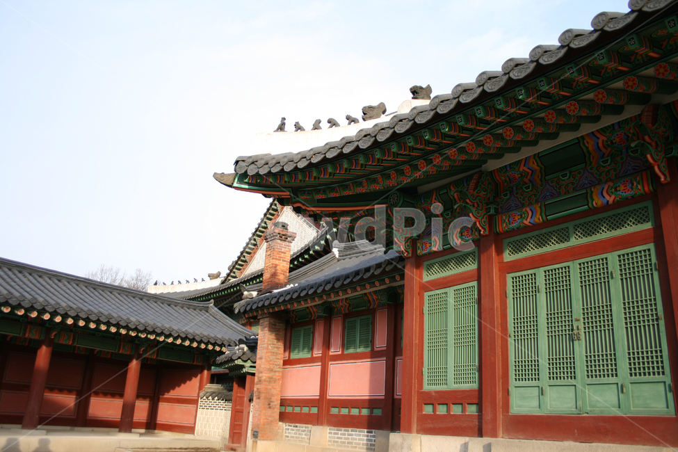 창덕궁,선정전,한국의궁,세계문화유산,문화유산,한국,전각,한국전통,한국문화,korean traditional,korean culture,랜드마크,landmark,tourist attraction,한국랜드마크,한국관광지,한국명소,korea landmark,korea tourist attraction,건축물,건물외관,exterior,building,structure,architecture,construction