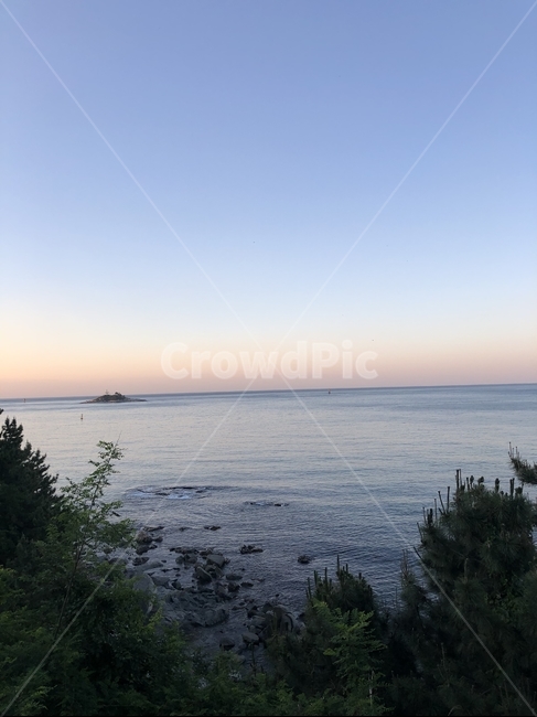 나무,tree,식물,plant,바다,sea,노을,sunset,바닷가,수평선,자연,풍경,nature,landscape