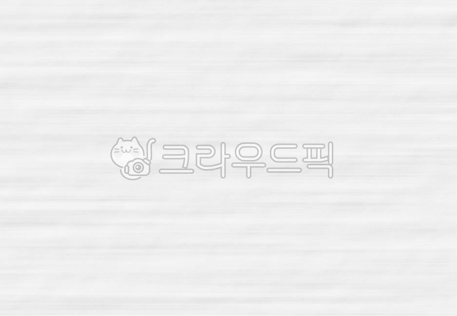 paper texture,pattern,white background,sauce,background paper,paper,crumpled,white,wrinkled,group,texture,paper texture background,background,paper background,white paper background