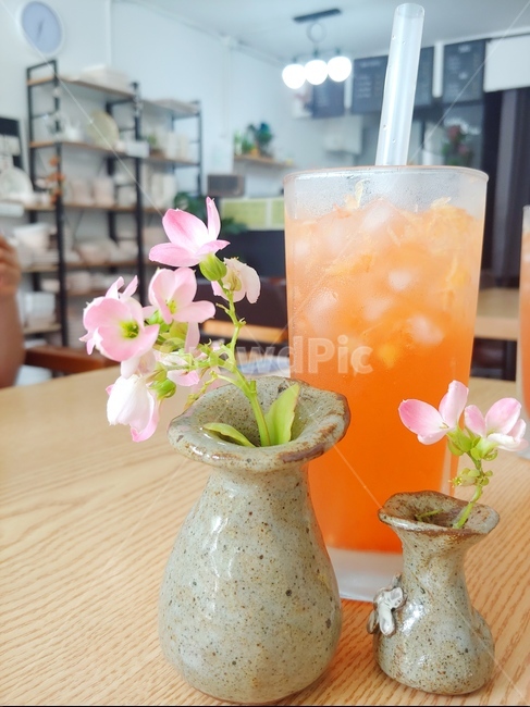 자몽차,카페,과일,음료,아이스,시원한,음료수