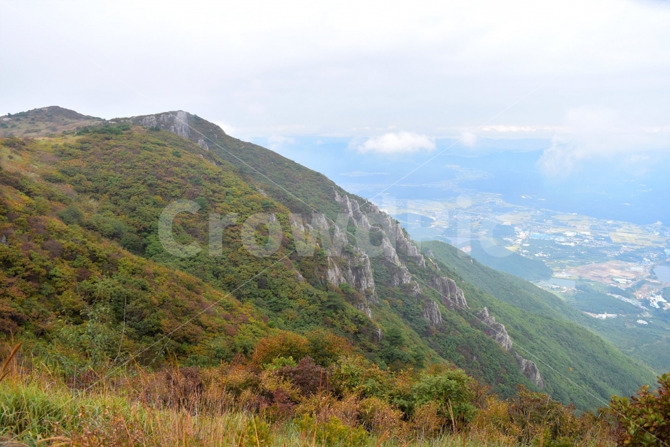 영축산,신불산,영남알프스가을,풍경,낙엽,명산,자연,비경,단풍나무,가을색,가을색채,가을풍경,운해,장관,구름,억새,영알,억새평전,mountain,landscape,가을,계절,fall,autumn,season,자연,풍경,nature,landscape,한국자연풍경,한국자연경관,korea nature landscape,outdoors,옥외,hill,언덕,slope,경사