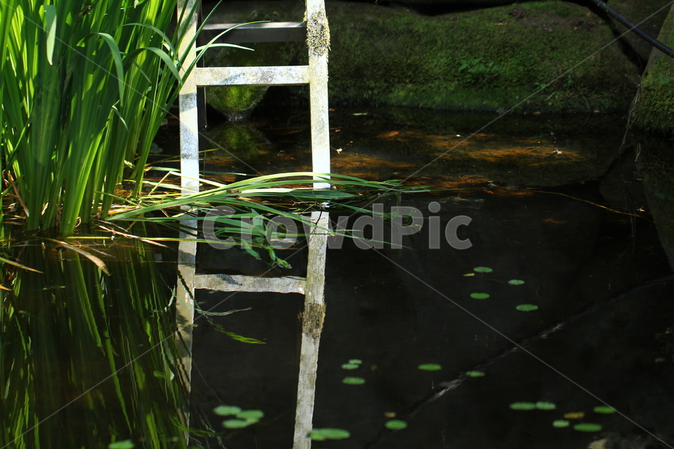 사다리,반영,연못,정원,물가,자연,풍경,nature,landscape,water,물,land,땅,outdoors,옥외