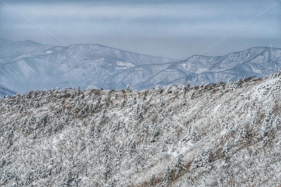 outdoors,옥외,nature,자연,빙,ice,mountain,산,설산,태백,태백산맥,태백산,천제단,만경사,장군봉,애국심,폭설눈밭발자국겨울눈하늘풍경겨울풍경여행눈길쌓이다감성힐링눈발자국흰눈설경흔적스노우snow자연언덕화이트겨울사진배경계절winterseason,겨울,계절,winter,season,자연,풍경,nature,landscape,한국자연풍경,한국자연경관,korea nature landscape