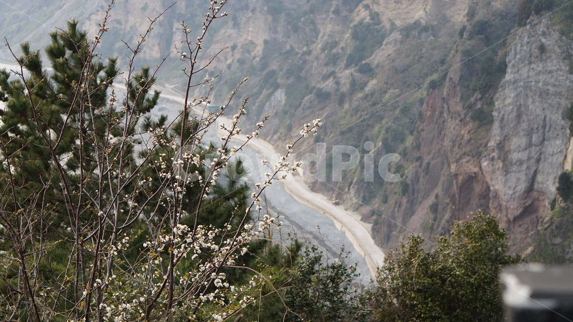 울릉도,해안선,풀,잔디,겨울,nature,자연,outdoors,옥외,mountain,road,도로,산,감성