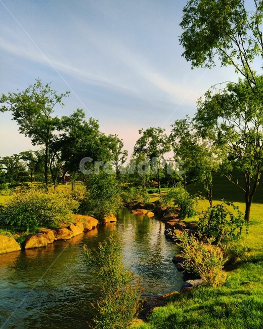 자연,식물,배경,풍경,하늘,나무,풀,전라남도,순천,순천만,순천만국가정원,nature,plants,background,landscape,sunset,sky,tree,자연,풍경,nature,landscape,한국자연풍경,한국자연경관,korea nature landscape,water,물,outdoors,옥외