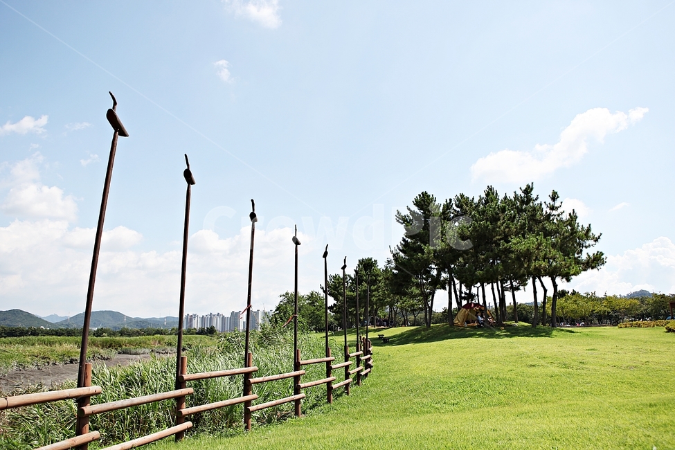 시흥갯골생태공원,공원,식물,자연,풍경,갈대,잡초,여름,게절,자연,풍경,nature,landscape,outdoors,옥외