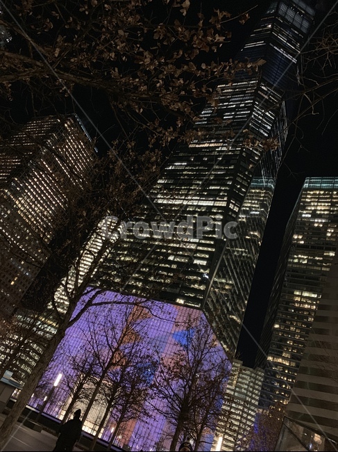 뉴욕,맨하탄,야경,빌딩,무역센터,건물,야경,밤,풍경,nightscape,night,landscape,도시,city,office building,사무실 건물,building,high rise,고층 건물,town,시티,urban,어반