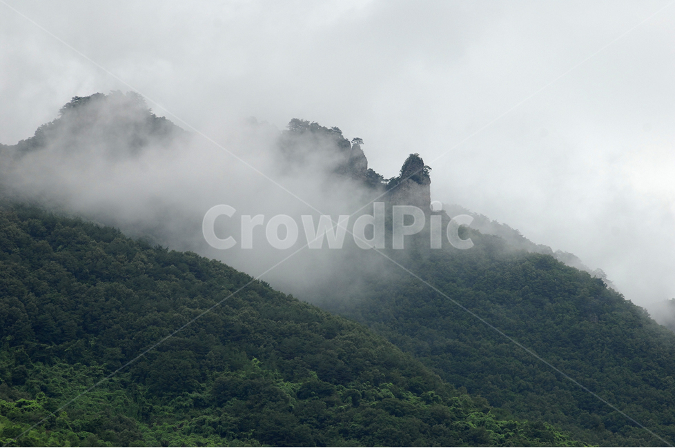 산,구름,소나무,청량산,계곡,자연,풍경,nature,landscape,weather,날씨,outdoors,옥외