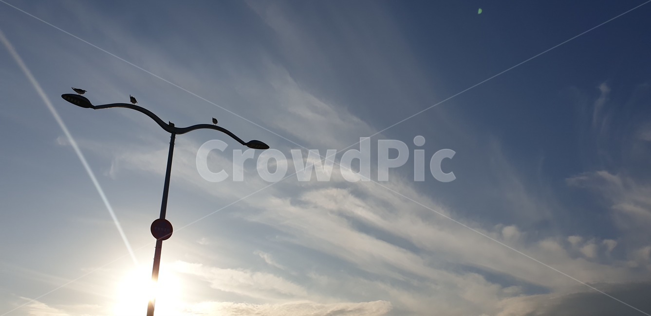 하늘,가로등,갈매기,램프포스트,lamppost