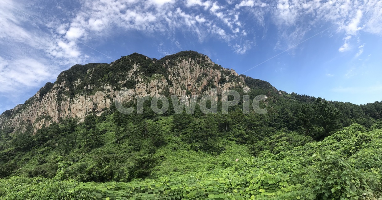 산,nature,자연,초목,vegetation