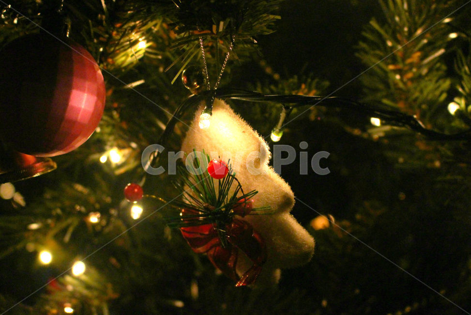 크리스마스,크리스마스트리,크리스마스장식,성탄절,감성사진,christmas,메리크리스마스,체크,빨강,빨간색,초록,초록색,tree,red,green,빛,나무,plant,식물,ornament,장식,christmas tree,크리스마스 트리