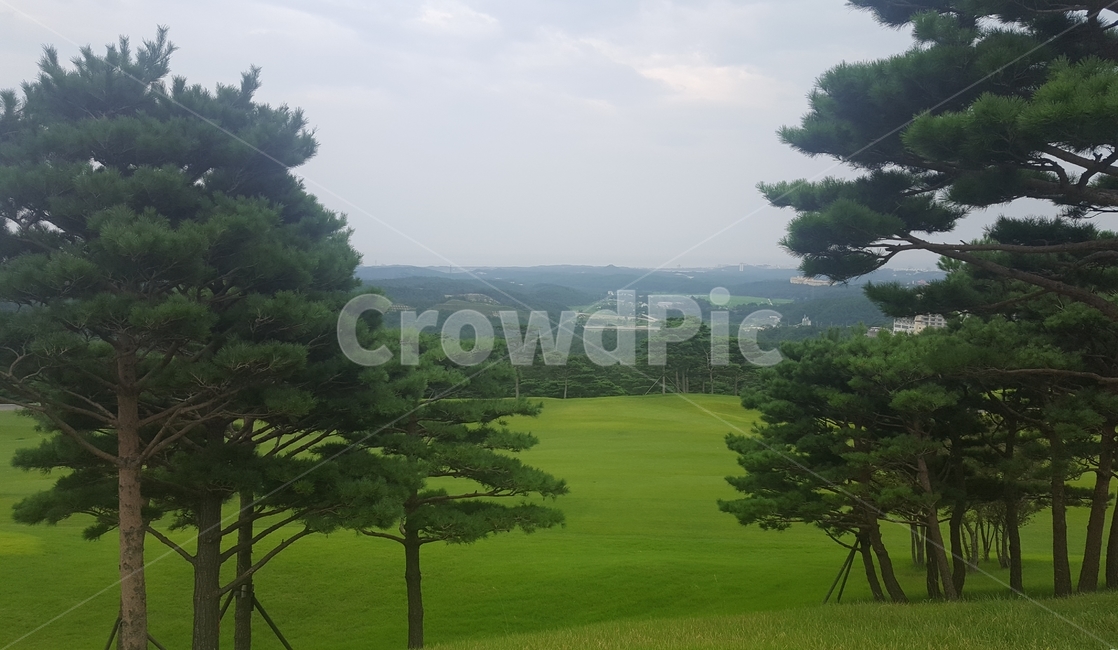 outdoors,옥외,field,들,들판,초원,언덕,풍경,하늘,백그라운드,풀밭,잔디,잔디밭,나무,숲,환경,자연,깨끗한,깔끔한,그린,녹색,nature,landscape,trees,야외,배경,한국자연풍경,경치,청정,평온,평화,한적한,자연,풍경,nature,landscape