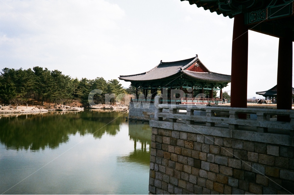 경주,안압지,월지,궁궐,정원,전통건축,유적지,관광지,유물,수학여행,단체여행,가족여행,여행지,야경,필름사진,저수지,석축,연못,천년고도,신라,한국전통,한국문화,korean traditional,korean culture,랜드마크,landmark,tourist attraction,한국랜드마크,한국관광지,한국명소,korea landmark,korea tourist attraction,건축물,건물외관,exterior,building,structure,architecture,construction
