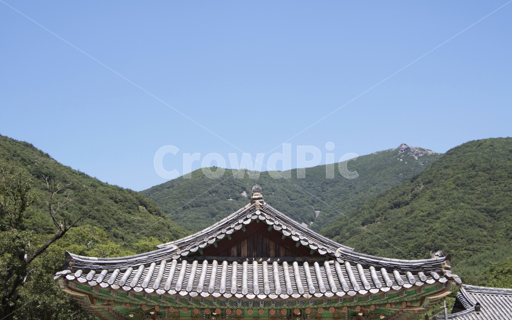 사진,단독사진,디자인,소스,포토,사진자료,배경,배경사진,풍경,한국,전통,민속,사찰,절,불교,종교,하늘,기와,기와집,푸른하늘,전통가옥,한옥,건축,건축물,건축양식,기와지붕,지붕,동양,한국전통,한국문화,korean traditional,korean culture,건축물,건물외관,exterior,building,structure,architecture,construction