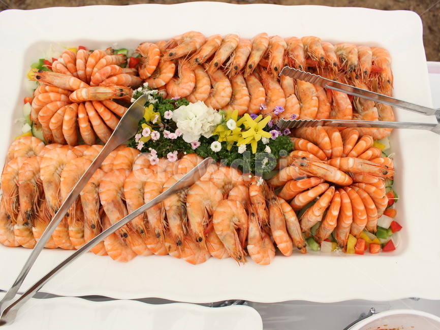 부페,뷔페,새우,새우찜,회,음식,식재료,요리,food,cook,meal,dishes,food reserves,수산물,해산물,fishery products,seafood