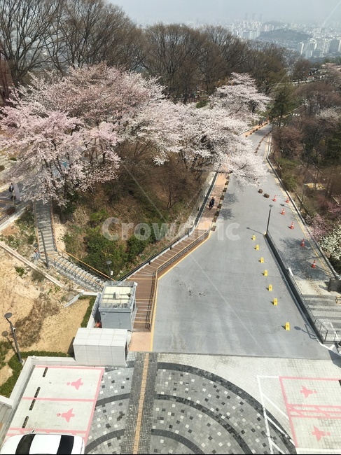 scenery,풍경,nature,자연,outdoors,옥외,landscape,경치,road,도로