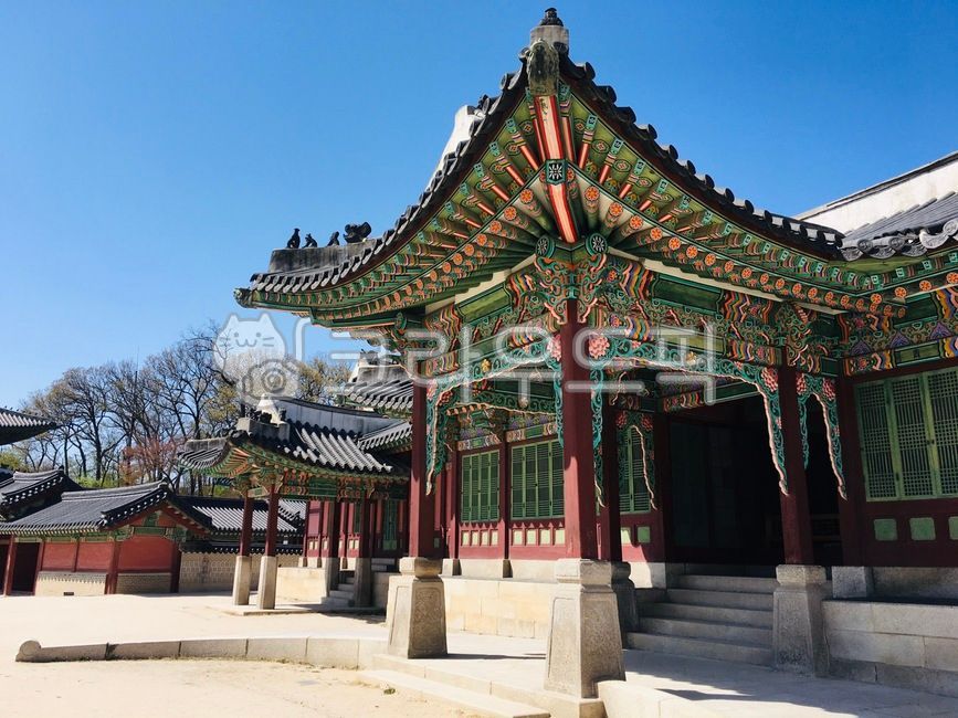 궁궐,한국,문화재,창덕궁,궁전,조선왕조,한옥,나무,전통문화,한국문화재,전통문화재,조선,역사,한국문화,한국풍경,대한민국,조선왕실,관광지,한국관광지,korea,changdeokgung,changdeokpalace,한국건축물,koreanpalace,koreanarchitecture,korealandmark,kingdom,seoul,서울,palace,건축물,architecture,building,건물