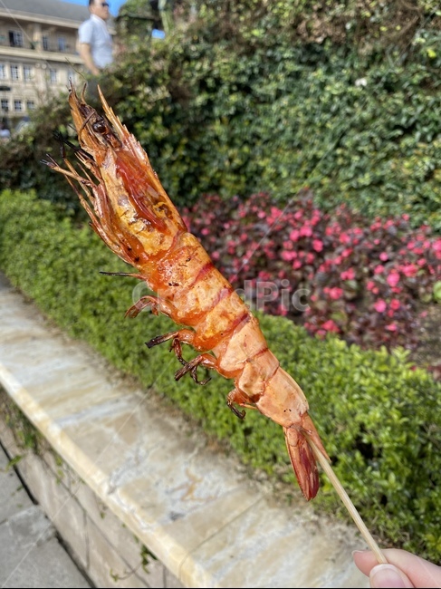해물,새우,타이거새우,음식,shrimp