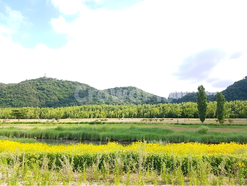 봄,자연,강변,공원,수변,푸른,자연,풍경,nature,landscape,한국자연풍경,한국자연경관,korea nature landscape,outdoors,옥외,field,들,grassland,목초지,farm,농장,rural,농촌