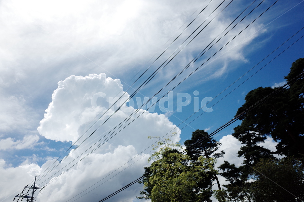 하늘,구름,전기줄,적란운,sky,cloud