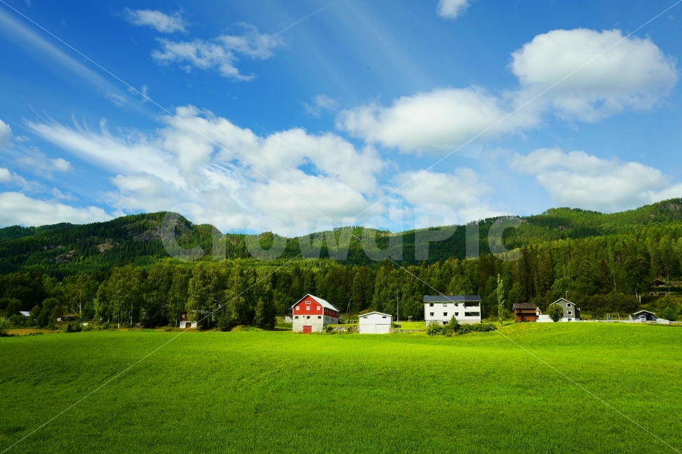 풍경,자연,여행,집,마을,노르웨이,잔디,하늘,초원,자연,풍경,nature,landscape,시골,마을,country,rural,town,해외,외국,세계,foreign,oversea,world,세계자연풍경,해외자연풍경,외국자연풍경,world nature landscape,plant,식물,grass,field,들,outdoors,옥외,grassland,목초지,farm,농장,농촌
