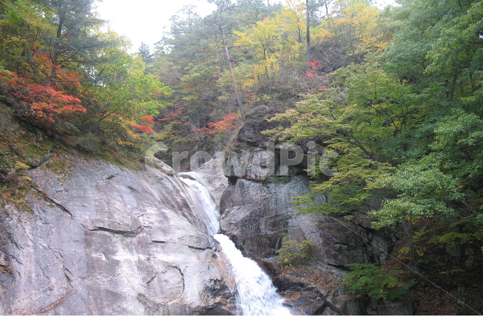 오대산,소금강,구룡폭포,청학동,구룡계곡,가을,계절,fall,autumn,season,자연,풍경,nature,landscape,한국자연풍경,한국자연경관,korea nature landscape,water,물,outdoors,옥외,river,강