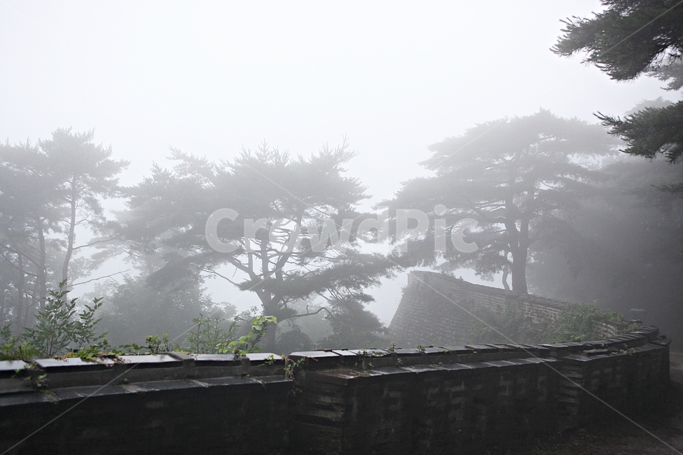 남한산성,성,성곽,길,둘레길,숲,숲길,안개,담,돌담
