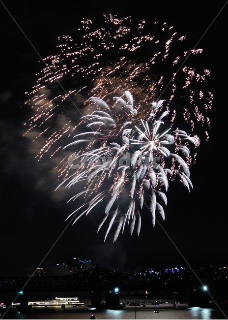 nature,자연,outdoors,옥외,불꽃축제,야경,밤,풍경,nightscape,night,landscape,축제,행사,festival,carnival,event