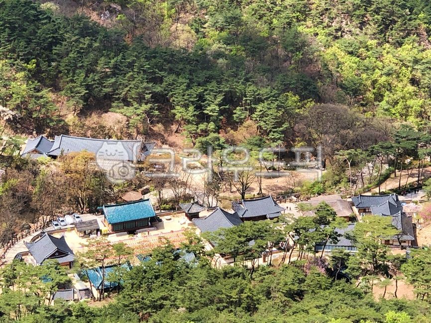 진관사,경관,사찰,불교,문화재,기와,전통가옥,고건축,전통건축,한국전통,한국문화,jingwansatemple,scenery,temples,landscape,buddhism,culturalproperties,rooftiles,traditionalhouses,ancientarchitecture,traditional,architecture,자연,nature,옥외,outdoors,건물,building