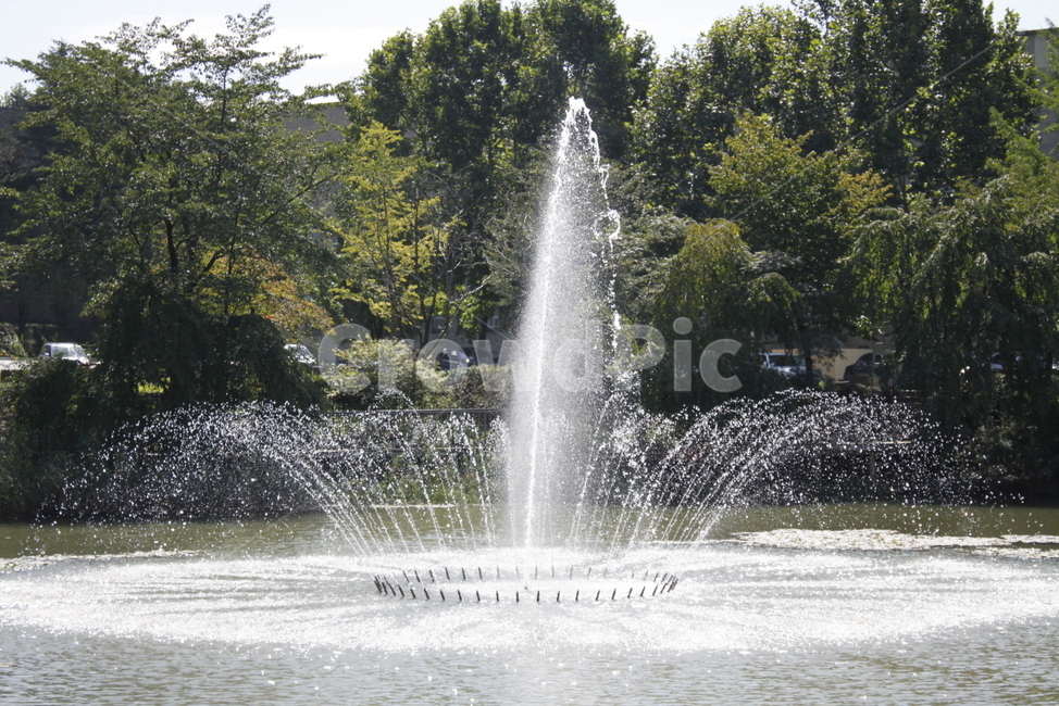 공원,분수,산책,호수,연못,나무,자연,풍경,봄,계절,여름,물결,fountain