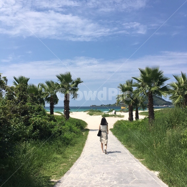 바다,하늘,야자수,뒷모습,모래사장,풍경,사람,긴머리,감성,여름,해변,바다,beach,sea,사람,인물,인간,human,person,여성,여자,woman,female,lady,여행,휴가,traveling,vacation,trip