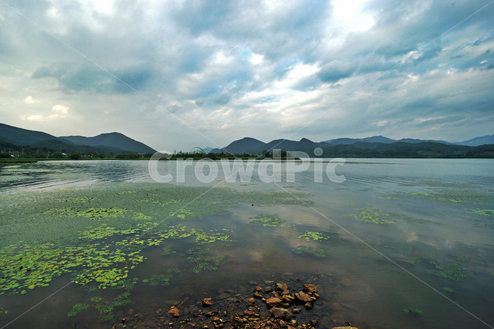 북한강,양수리,강,수풀,자연,풍경,자연,풍경,nature,landscape