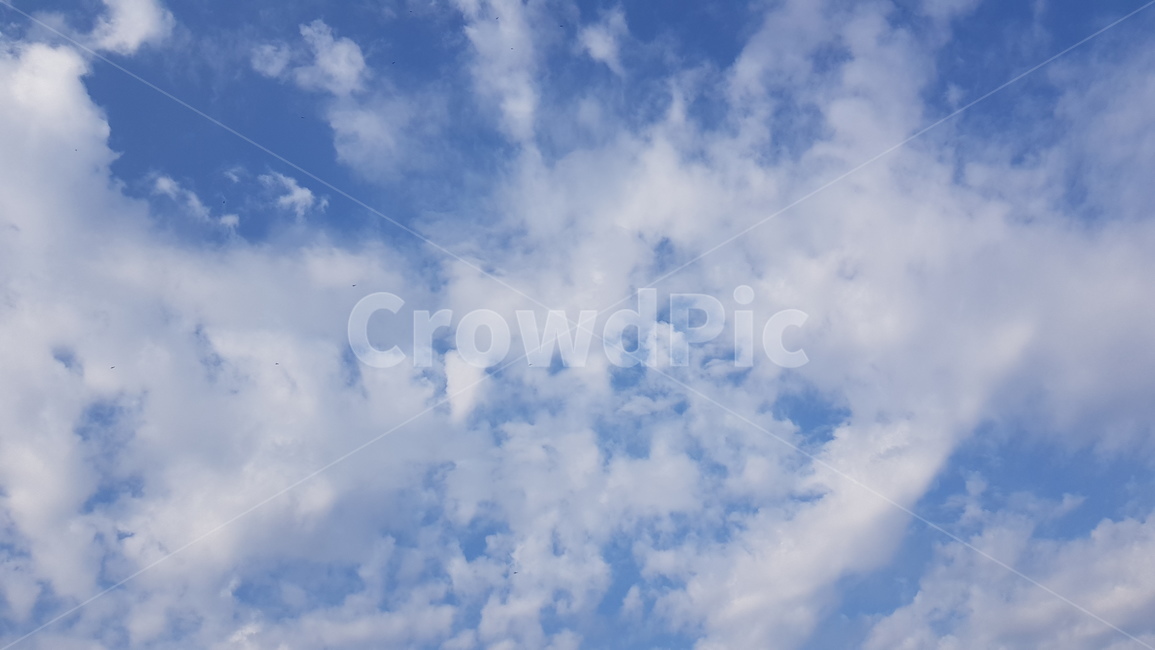 구름,하늘,파란하늘,하얀구름,뭉게구름,특이한구름,sky,bluesky,cloud,nature,자연,outdoors,옥외,azuresky,푸른하늘