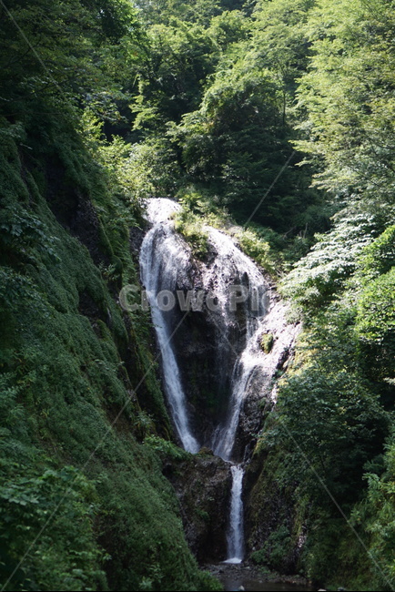 봉래폭포,울릉도,힐링,자연,숲,자연,풍경,nature,landscape,river,강,outdoors,옥외,water,물,waterfall,폭포