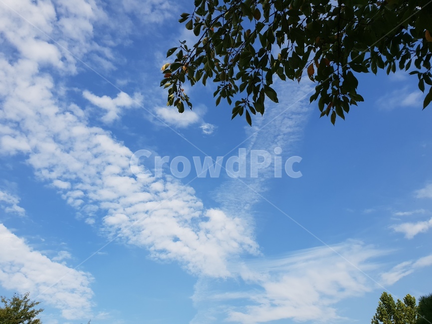 하늘,구름,힐링,파란,자연,자연,풍경,nature,landscape,azure sky,푸른 하늘,sky,outdoors,옥외