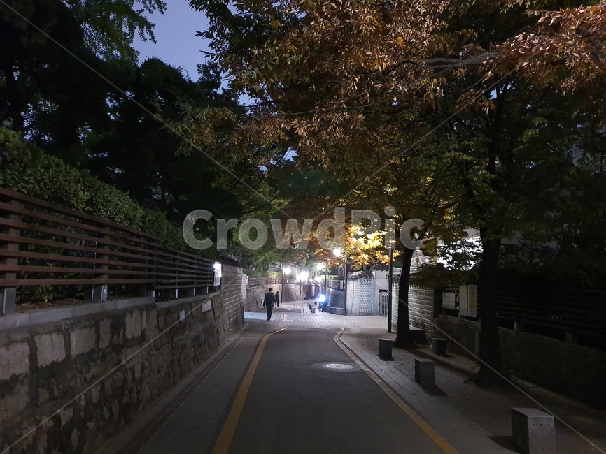person,사람,human,인간,asphalt,아스팔트,tarmac,타맥,road,도로,길,저녁,evening,동네,가로수,tree,돌벽