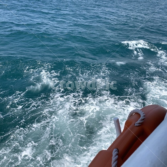 ocean,nature,자연,sea,바다