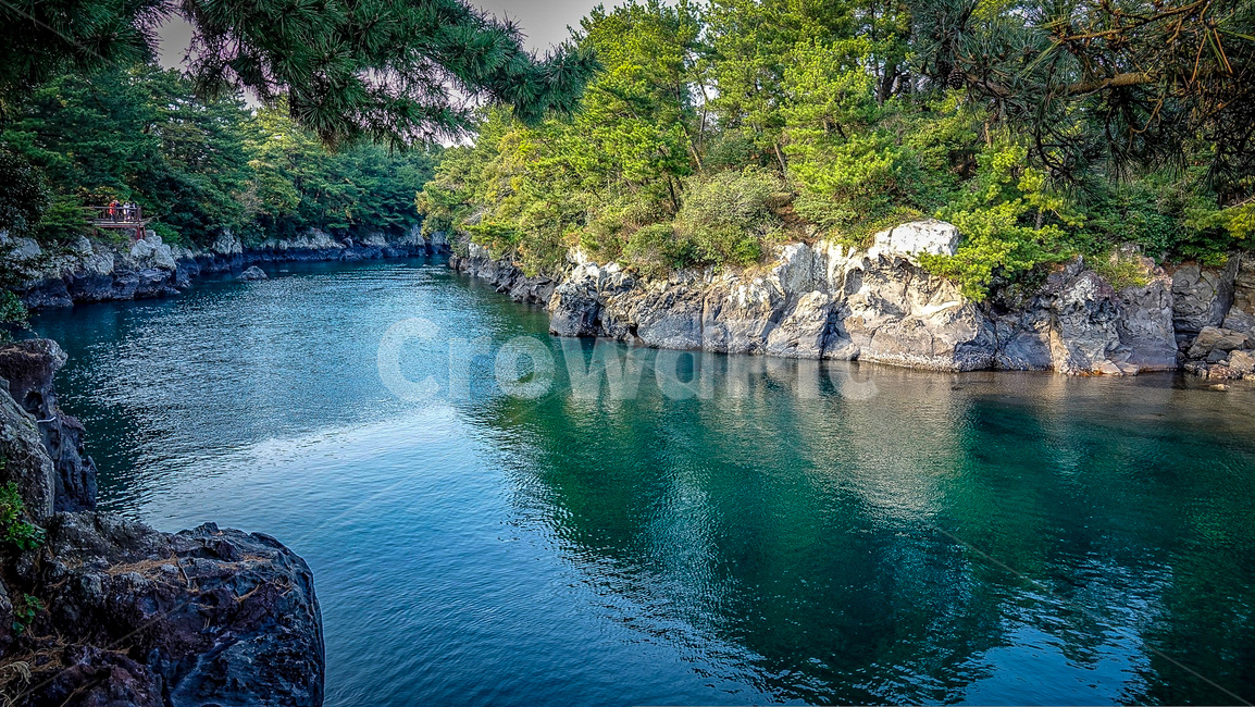 제주,풍경,바다,자연,제주도풍경,나무,자연,풍경,nature,landscape,한국자연풍경,한국자연경관,korea nature landscape,제주도,jeju,jeju island,water,물,outdoors,옥외