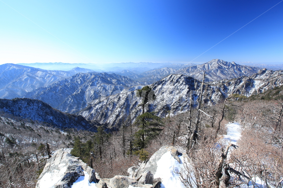 설악산,겨울산행,파란하늘,대청봉,능선,겨울나무,설원,등산,겨울,계절,winter,season,자연,풍경,nature,landscape,mountain,산,outdoors,옥외,mountain range,산맥,slope,경사