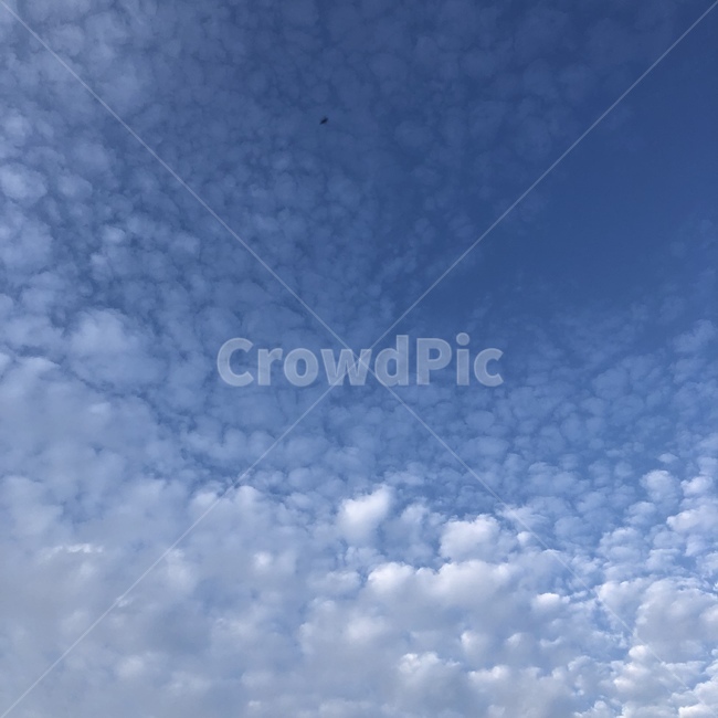nature,자연,outdoors,옥외,sky,하늘,azuresky,푸른하늘,cloud,구름
