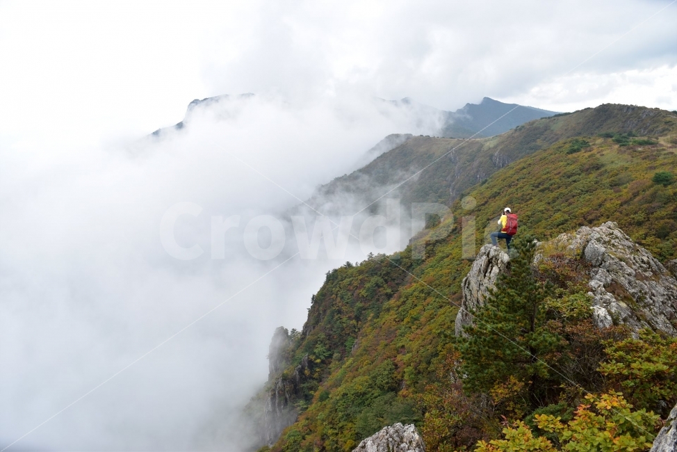 영축산,신불산,영남알프스가을,단풍,풍경,낙엽,명산,자연,비경,단풍나무,가을색,가을색채,오색단풍,가을단풍,운해,장관,구름,억새,영알,억새평전,mountain,lanscape,가을,계절,fall,autumn,season,자연,풍경,nature,landscape,한국자연풍경,한국자연경관,korea nature landscape,사람,인물,인간,human,person,스포츠,레저,운동,sports,leisure,exercise,사진작가,포토그래퍼,photographer,outdoors,옥외,산,mountain range,산맥