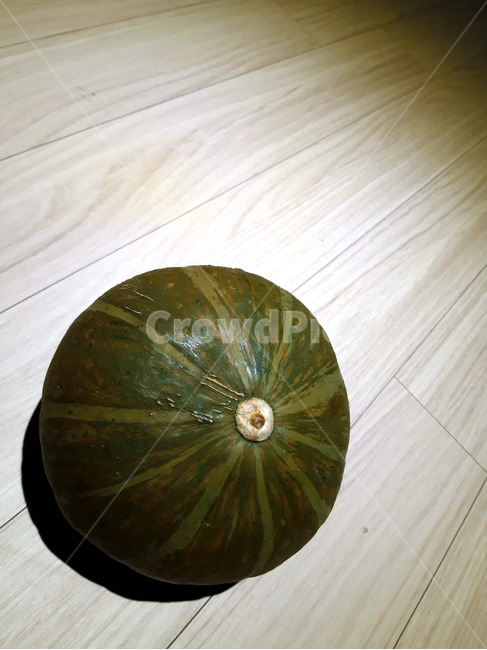 호박,늙은호박,수확,식재료,채소,음식,식품,야채,pumpkin,food,cook,meal,음식,식재료,요리,food,cook,meal,dishes,food reserves,채소,야채,vegetables