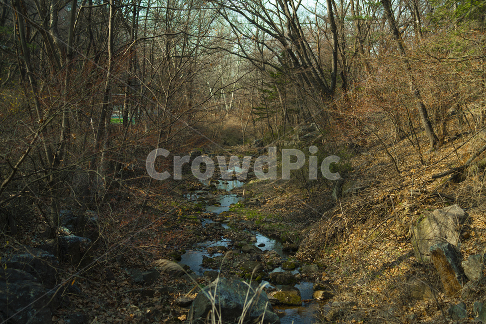자연,계속,산,나무,산속,자연,풍경,nature,landscape,water,물,ditch,도랑,outdoors,옥외,land,땅