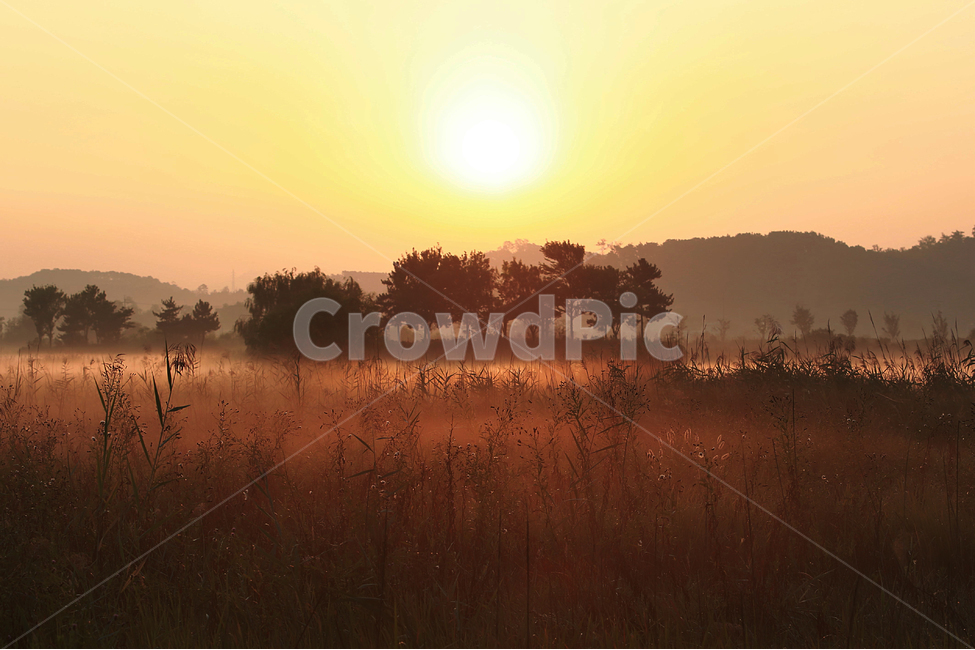 일출,소래습지,주황,안개,sunrise,fog,자연,풍경,nature,landscape,한국자연풍경,한국자연경관,korea nature landscape,outdoors,옥외
