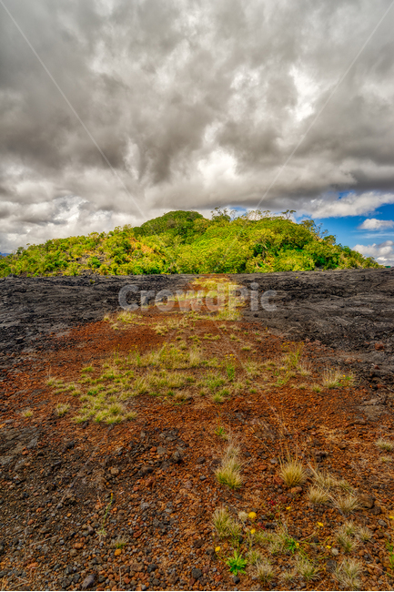 마우나로아,하와이,maunaloa,hawaii,volcanofield,자연,풍경,nature,landscape,해외,외국,세계,foreign,oversea,world,세계자연풍경,해외자연풍경,외국자연풍경,world nature landscape,ground,바닥,outdoors,옥외