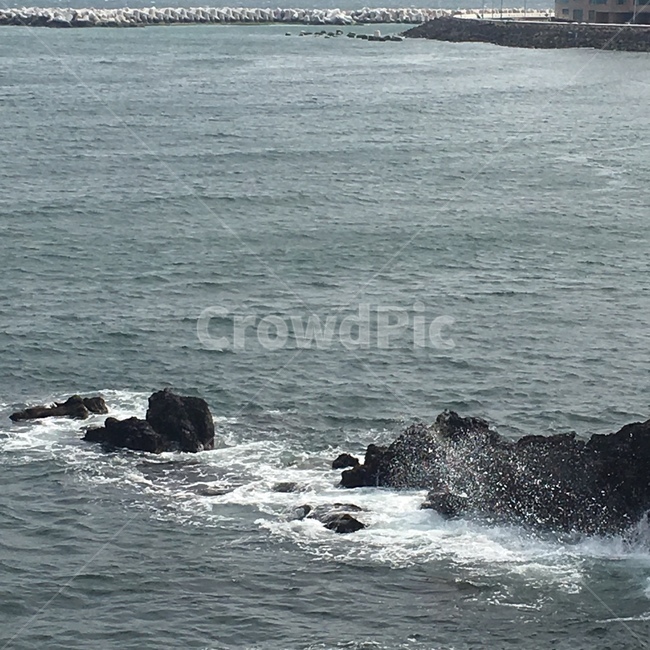 제주도,바다,바위,파도,제주도바다,흐림,물