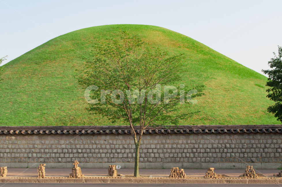 경주,대릉원,고분,릉,왕릉,유적,한국,신라,나무,초록,유네스코,문화유산,경상북도,전통,랜드마크,landmark,tourist attraction,한국랜드마크,한국관광지,한국명소,korea landmark,korea tourist attraction
