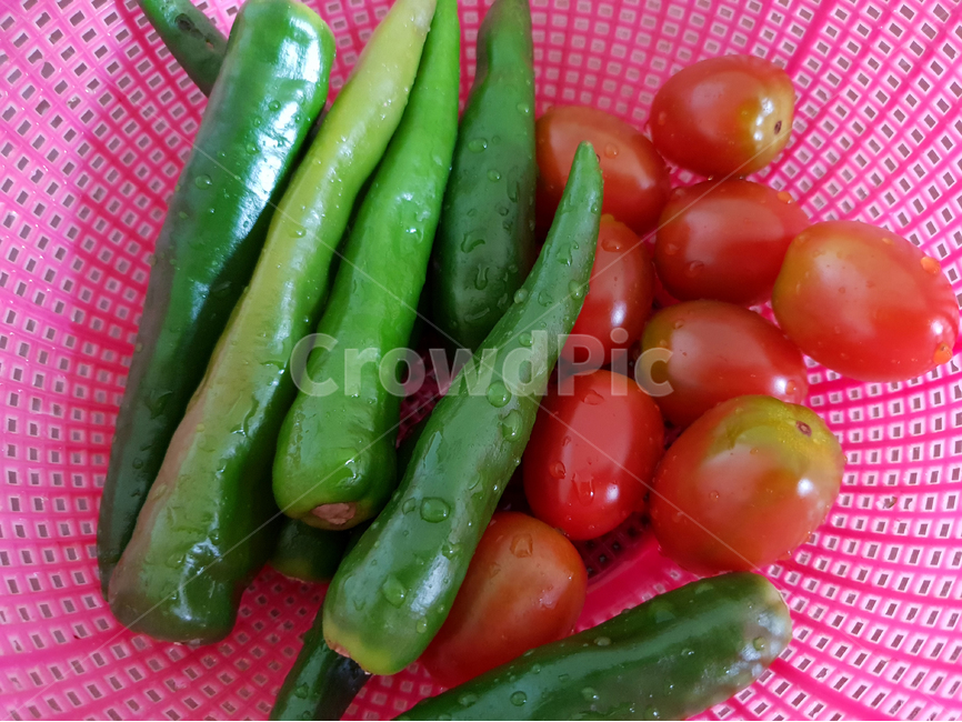 하우스재배,재배,고추,토마토,야채,채소,유기농,바구니,농작물,농사,음식,식재료,요리,food,cook,meal,dishes,food reserves,채소,야채,vegetables