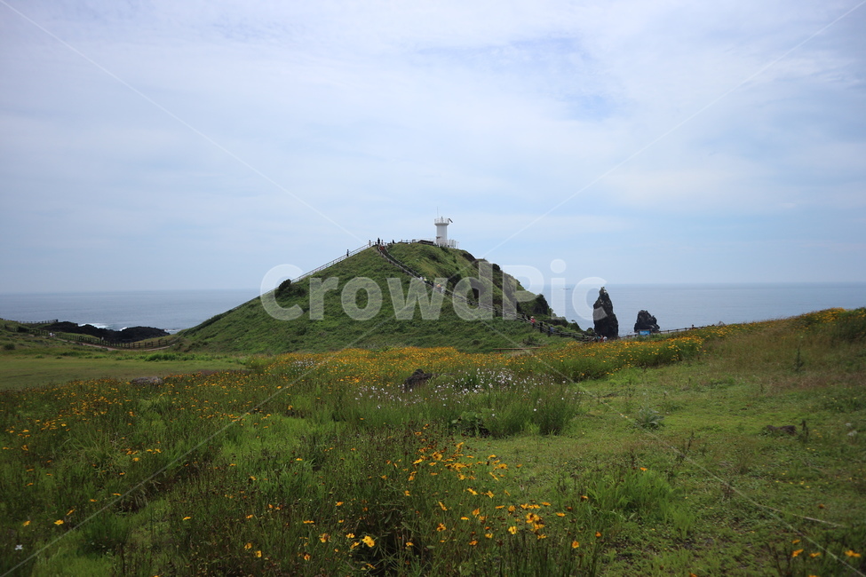 제주도,섭지코지,제주도관광지,제주,바다,등대,제주바다,한국,한국관광지,자연,대자연,풍경,섬,해안,해안로,산책,산책길,산책로,꽃,들판,휴가,힐링,피톤치드,풀,하늘,경관,경치,jeju,jejudo,sea,jejudosea,korea,korean,walk,walking,picnic,nature,koreasightseeingspots,lighthouse,scenery,제주도,jeju,jeju island,outdoors,옥외,hill,언덕,grassland,목초지,field,들